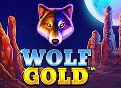 Wolf G Avantgarde Casino Game