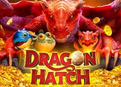 Dragon Hatch Avantgarde Casino Game
