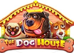 Dog House Avantgarde Casino Game